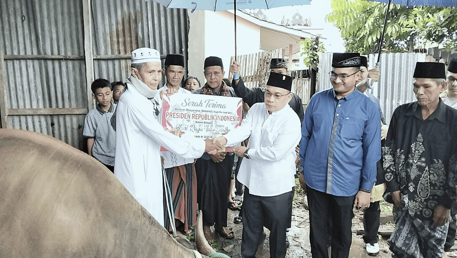Presiden Serahkan Sapi Kurban untuk Muratara, Idul Adha Jadi Momentum Kebersamaan dan Kepedulian